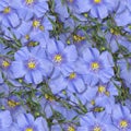 Seamless floral pattern texture featuring blue flax flowers and greenery Royalty Free Stock Photo