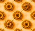 Seamless Floral Pattern Texture Warm Orange Blossom Background Design Royalty Free Stock Photo