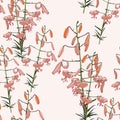 Seamless floral pattern of tropical orange lilies. Hand painted flowers. Isolated on light pink background. Royalty Free Stock Photo