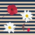 Seamless floral pattern in vector. Poppy and chamomile on striped background. Beautiful summer design Royalty Free Stock Photo