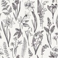 Seamless floral pattern. Royalty Free Stock Photo