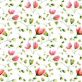 Seamless floral pattern. Watercolor background with pink and red roses flower, leaf, branch. Botanical illustration for textile, Royalty Free Stock Photo