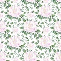 Seamless floral pattern. Watercolor botanical illustration with white and pink roses and eucalyptus leaves for textile and wedding Royalty Free Stock Photo