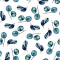 Seamless floral pattern with watercolor eucalyptus leaves Royalty Free Stock Photo