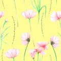 A seamless floral pattern with watercolor hand-drawn tender pink cosmos flowers Royalty Free Stock Photo