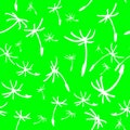 seamless floral pattern of white contour flowers on a bright light green background, texture, repeat pattern Royalty Free Stock Photo