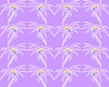 seamless floral pattern of white contour flowers on a purple background, texture Royalty Free Stock Photo