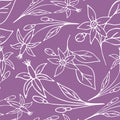 seamless floral pattern of white contour flowers on a purple background Royalty Free Stock Photo