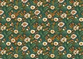 seamless floral pattern, white floral pattern with orange or green leaves and green background Royalty Free Stock Photo