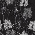 Seamless floral pattern with wild herbs and ferns. Vintage floral background Royalty Free Stock Photo