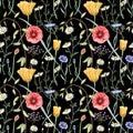 Seamless floral pattern with wildflowers on dark background. Hand drawn watercolor illustration. Royalty Free Stock Photo