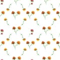 Seamless floral pattern. Wildflowers on a white background.