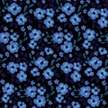 Seamless floral pattern, winter style ditsy print with small blue flowers on dark. Vector. Royalty Free Stock Photo