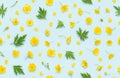 Seamless floral pattern of yellow blooming buttercup, common wild meadow flower, with buds, leaves and petals Royalty Free Stock Photo