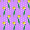 Seamless floral pattern with yellow tulip flowers Royalty Free Stock Photo