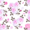 Seamless floral print with bouquets of pale pink roses isolated on a white background. English style Royalty Free Stock Photo