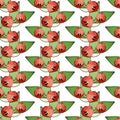 Seamless floral print, vertical borders of bright red tulips. White background