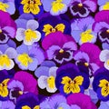 Seamless floral print with violas tricolor