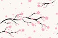 Seamless floral sakura pattern background, Vector cherry blossom and branch, Hand drawn decorative, Seamless backgrounds and Royalty Free Stock Photo