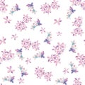 Seamless floral spring background. Lilac flowers. Flowers on a white background.