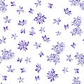 Seamless floral spring background. Lilac flowers. Flowers on a white background.