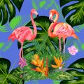 Seamless floral summer pattern background with tropical palm leaves, flamingo, hibiscus