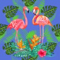 Seamless floral summer pattern background with tropical palm leaves, flamingo, hibiscus