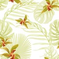 Seamless floral tropical pattern. Cattleya orchid phalaenopsis flowers. Exotic light green leaves jungle palm monstera. Royalty Free Stock Photo