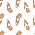 Seamless floral tulip pattern white background