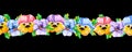 Seamless floral vertical stripe border band with yellow, pink, blue, purple pansies viola flowers in line or row on black