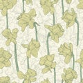 Seamless floral yellow narcissus pattern. Line illustration for fabric wrapping prints wedding design in vintage style