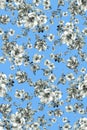 Seamless flower pattern floral allover design with background