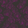 Seamless flower pattern with orchids phalaenopsis Royalty Free Stock Photo