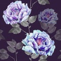 Seamless flower pattern for textil or wallpaper on dark background Royalty Free Stock Photo