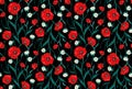 Seamless Flower Poppies and Roses Pattern