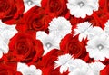 Seamless flower texture. Red roses and white flowers. Rose, mallow, rudbeckia Royalty Free Stock Photo