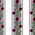 Seamless flowers of red roses pattern on white background