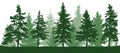 Seamless forest fir trees silhouette. Royalty Free Stock Photo