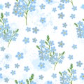 A seamless forget-me-not background. Vector illustration