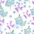 A seamless forget-me-not background. Vector illustration