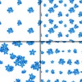 Seamless forget-me-not pattern set Royalty Free Stock Photo