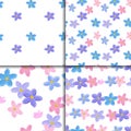 Seamless forget-me-not pattern set Royalty Free Stock Photo