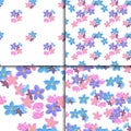 Seamless forget-me-not pattern set Royalty Free Stock Photo