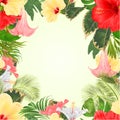 Seamless frame tropical flowers floral arrangement, with red and yellow hibiscus and Brugmansia palm,philodendron vintage vect Royalty Free Stock Photo