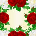 Seamless frame two white and red roses festive background greeting card vintage vector botanical illustration editable hand
