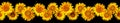 Seamless frieze from flowers of a sunflower isolated on a black background. Seamless border of yellow sunflowers isolated on black Royalty Free Stock Photo