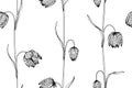 Seamless Fritillaria flower pattern background.