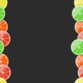 Seamless fruit frame. Citrus, lemon, lime, orange, tangerine, grapefruit. Vector illustration.
