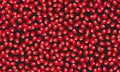 Seamless fruit pomegranate seeds scattered on black background, Fresh organic food, Red ruby fruits pattern.