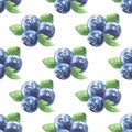 Seamless fruit watercolor pattern with blueberries isolated on the white background